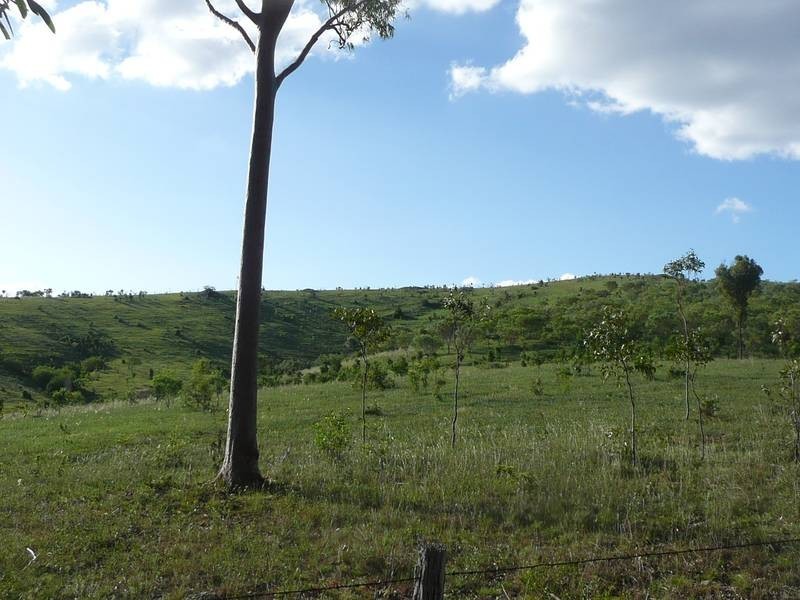 Coringa QLD 4621