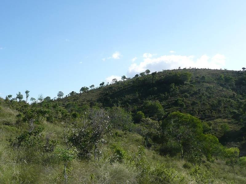 Coringa QLD 4621