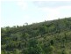Coringa QLD 4621