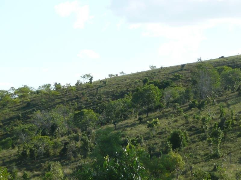 Coringa QLD 4621