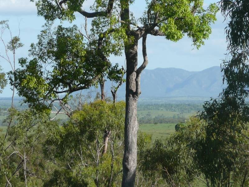 Coringa QLD 4621