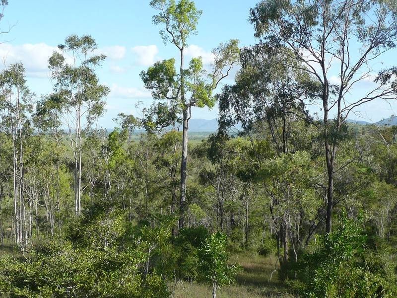 Coringa QLD 4621