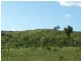 Coringa QLD 4621