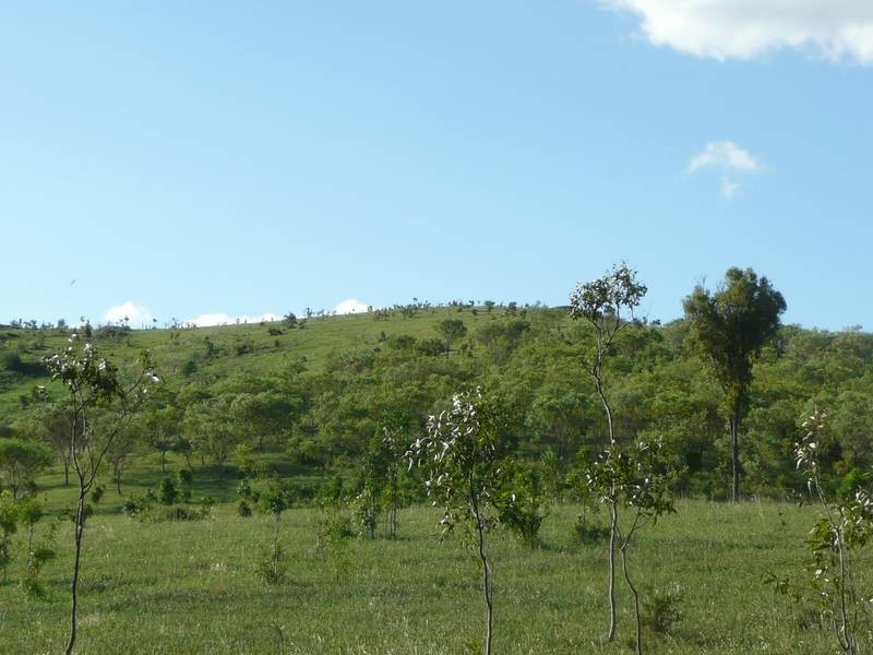 Coringa QLD 4621