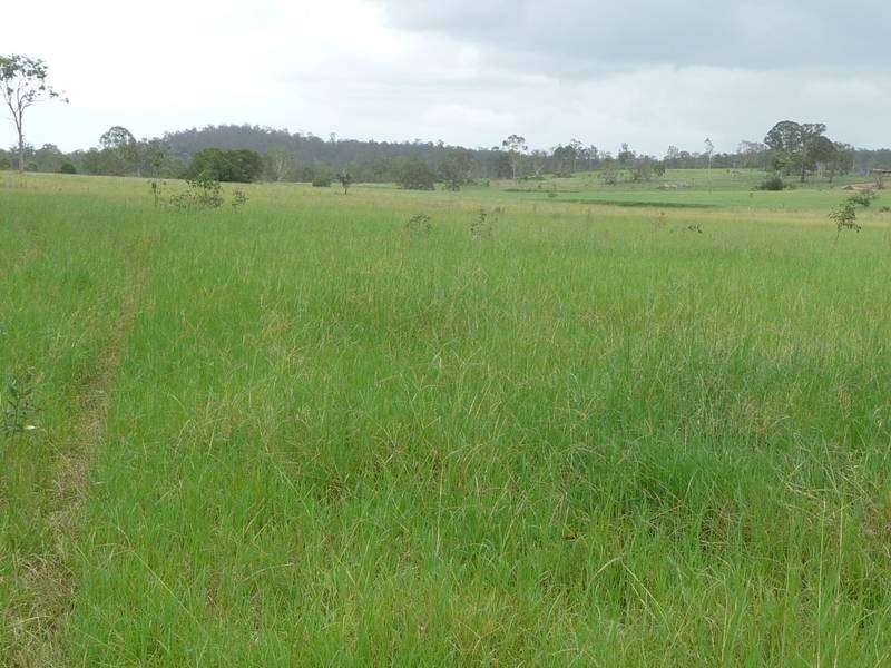 Lot A,  EDMUNDS ROAD, Tiaro QLD 4650