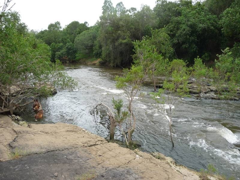 Lot A,  EDMUNDS ROAD, Tiaro QLD 4650