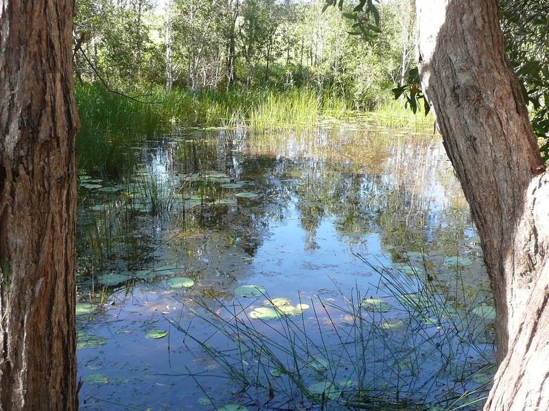 Childers QLD 4660