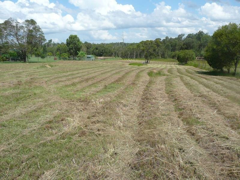 53 REDRIDGE CRESCENT, Redridge QLD 4660