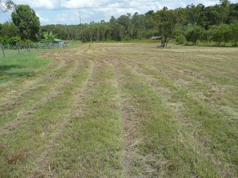 53 REDRIDGE CRESCENT, Redridge QLD 4660