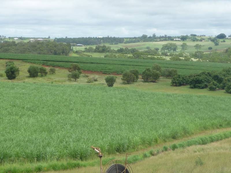 Lot 24, GORRIES ROAD, Childers QLD 4660