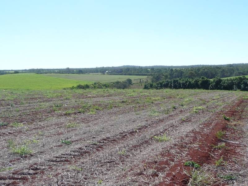 Lot 24, GORRIES ROAD, Childers QLD 4660