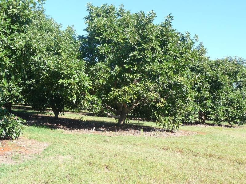 Lot 24, GORRIES ROAD, Childers QLD 4660