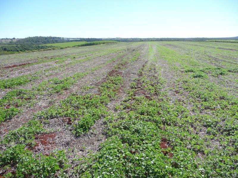 Lot 24, GORRIES ROAD, Childers QLD 4660