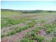 Lot 24, GORRIES ROAD, Childers QLD 4660