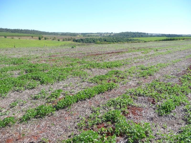 Lot 24, GORRIES ROAD, Childers QLD 4660