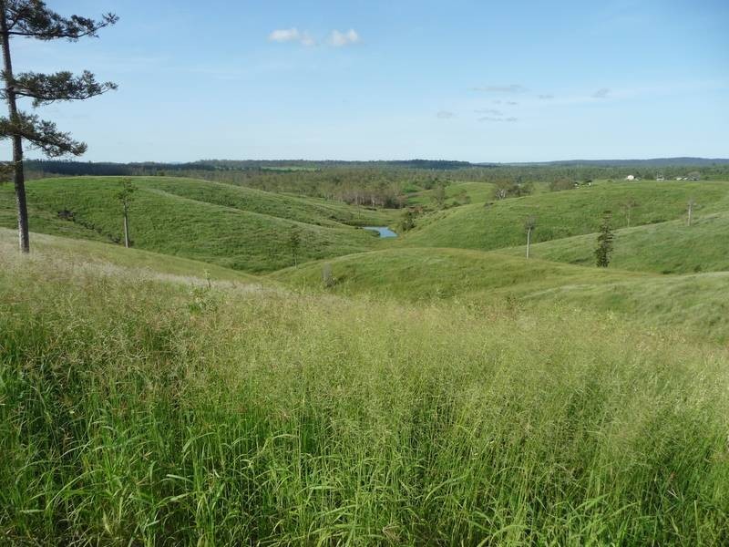 Lot 36,  MINGO ROAD, Morganville QLD 4671
