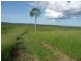 Lot 36,  MINGO ROAD, Morganville QLD 4671