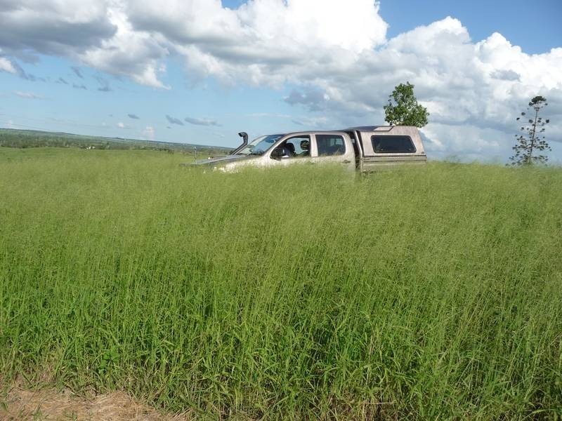 Lot 36,  MINGO ROAD, Morganville QLD 4671