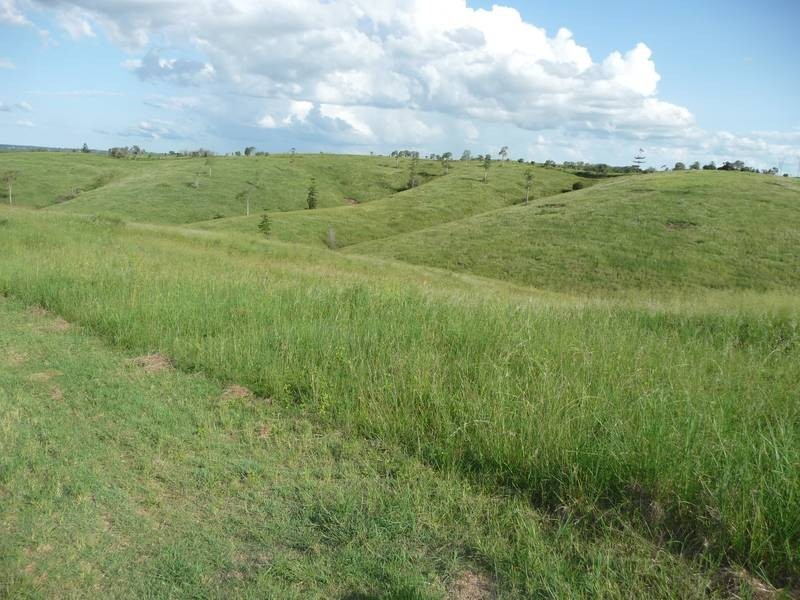 Lot 36,  MINGO ROAD, Morganville QLD 4671