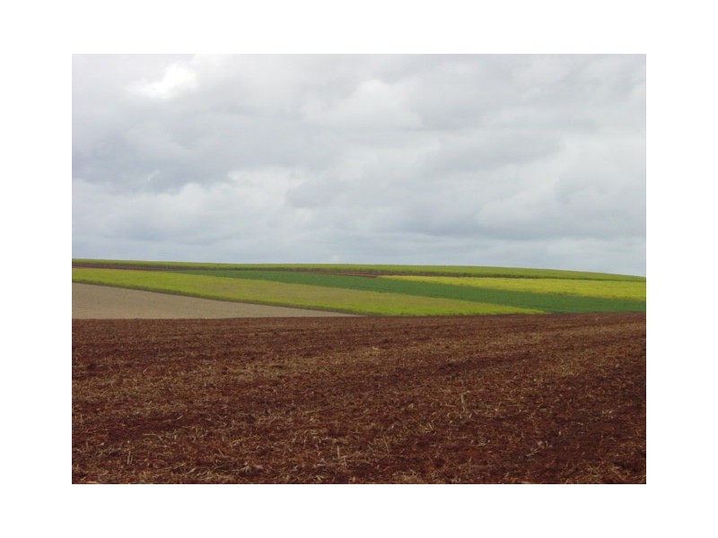 DOWLINGS ROAD, Childers QLD 4660