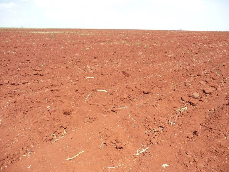 DOWLINGS ROAD, Childers QLD 4660