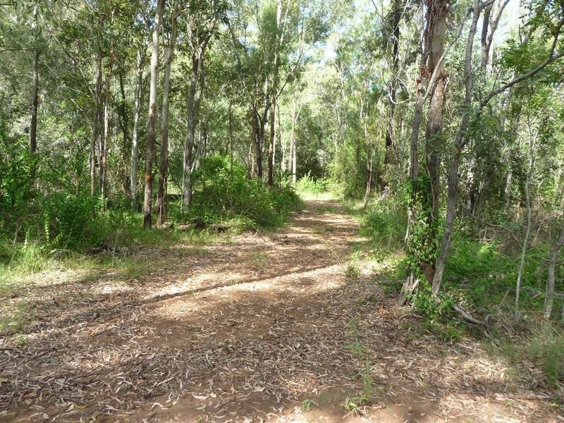 Rosemont Drive, North Isis QLD 4660