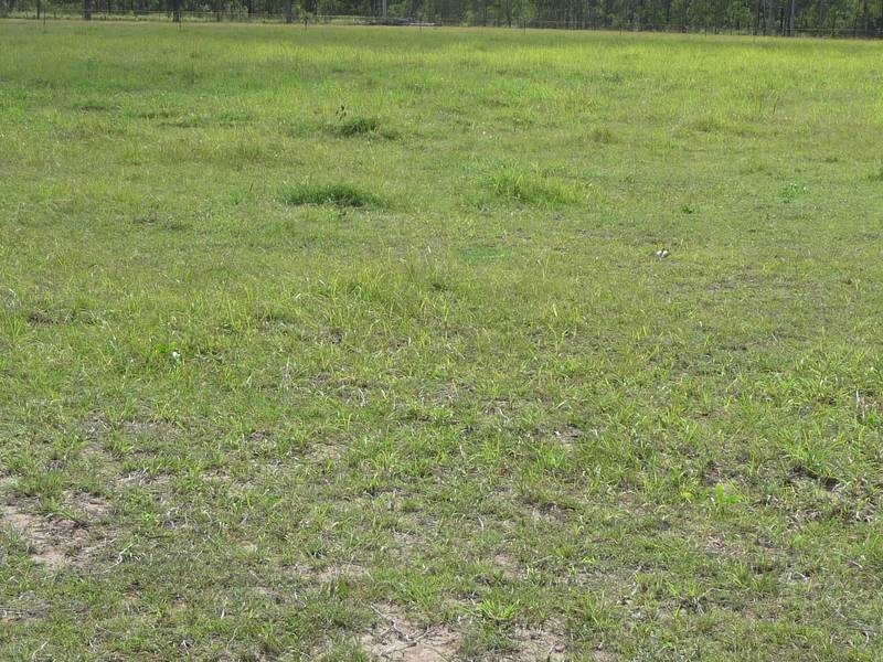 Booyal QLD 4671