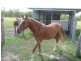 Booyal QLD 4671