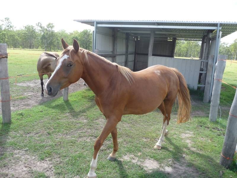 Booyal QLD 4671