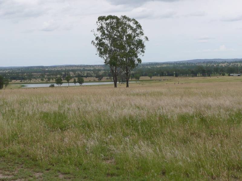 130 TJS Lane, Mundubbera QLD 4626