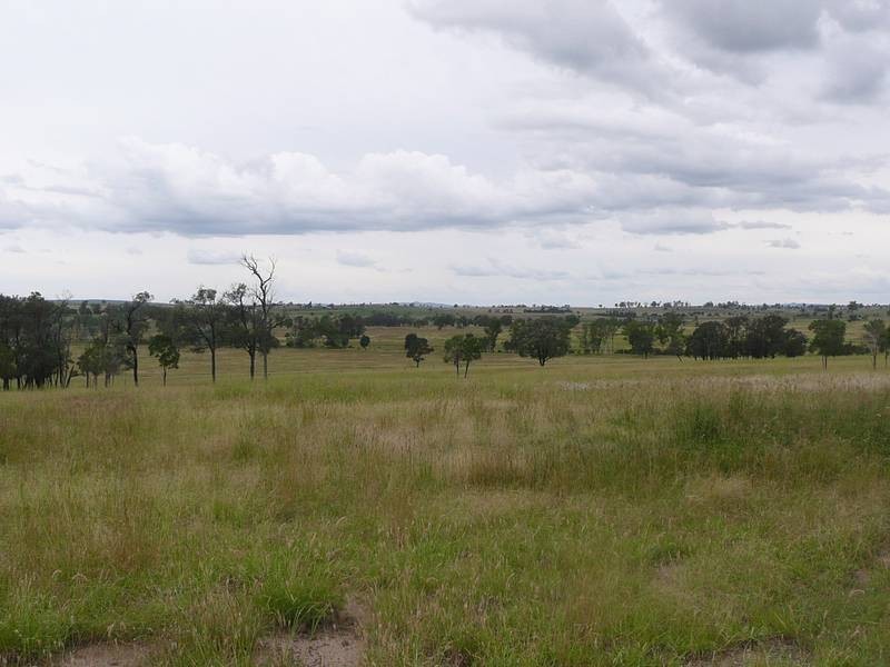 130 TJS Lane, Mundubbera QLD 4626