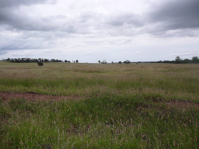 130 TJS Lane, Mundubbera QLD 4626