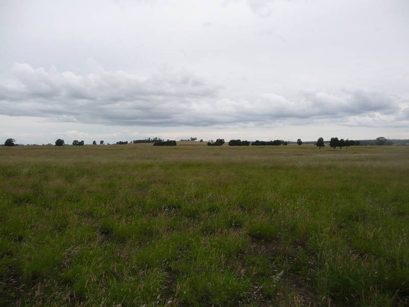 130 TJS Lane, Mundubbera QLD 4626