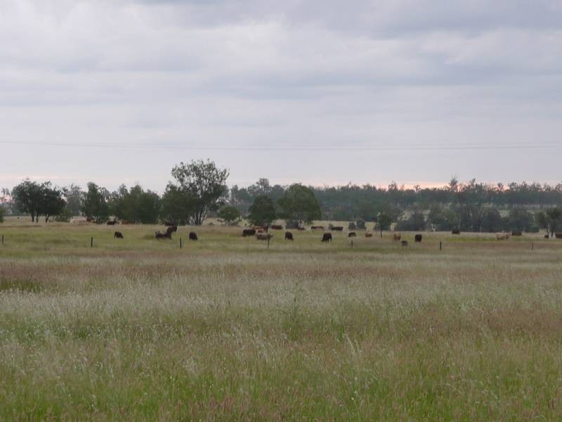 130 TJS Lane, Mundubbera QLD 4626