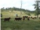 Lot 16,  Sunday Creek Road, Gayndah QLD 4625