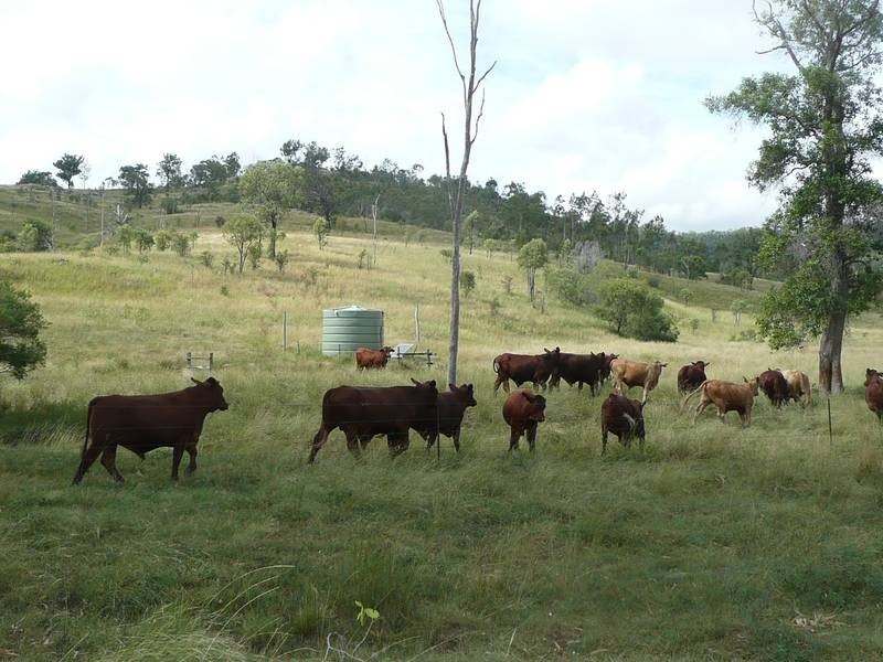 Lot 16,  Sunday Creek Road, Gayndah QLD 4625