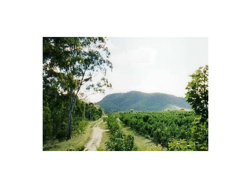 122 Shepherds Road, Gayndah QLD 4625