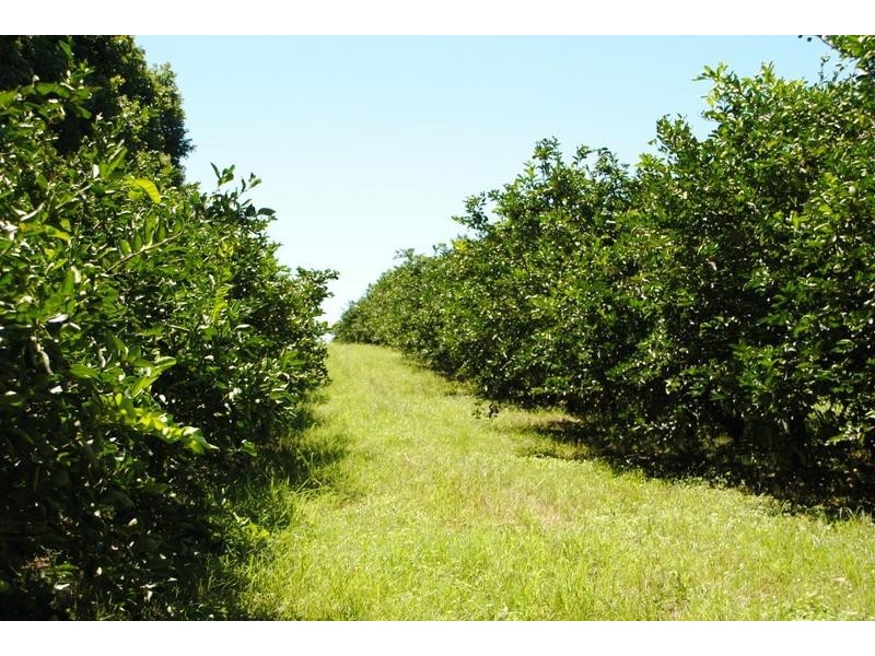 122 Shepherds Road, Gayndah QLD 4625