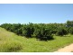 122 Shepherds Road, Gayndah QLD 4625