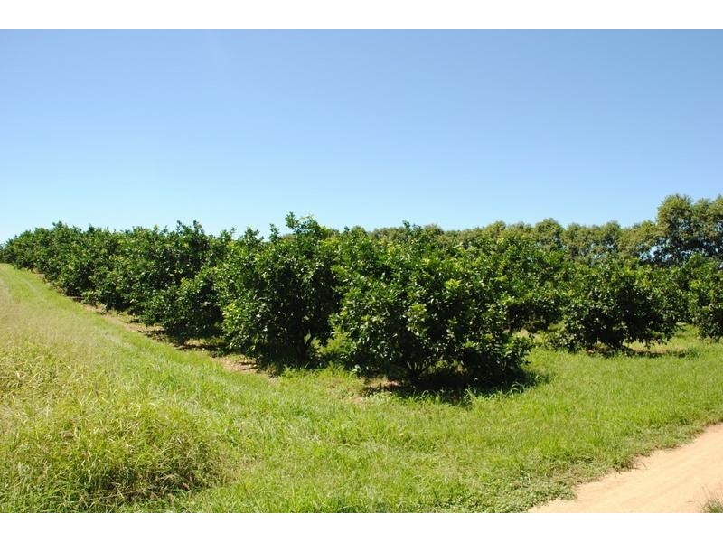 122 Shepherds Road, Gayndah QLD 4625
