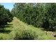 122 Shepherds Road, Gayndah QLD 4625