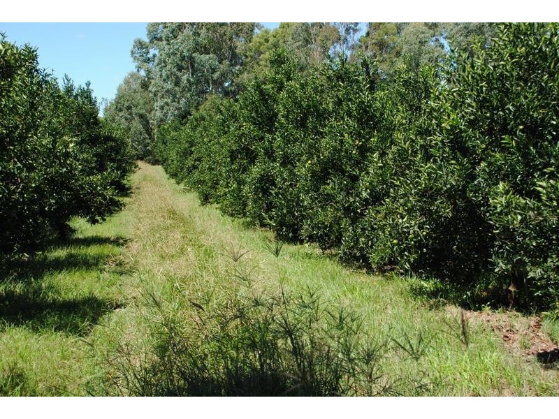 122 Shepherds Road, Gayndah QLD 4625