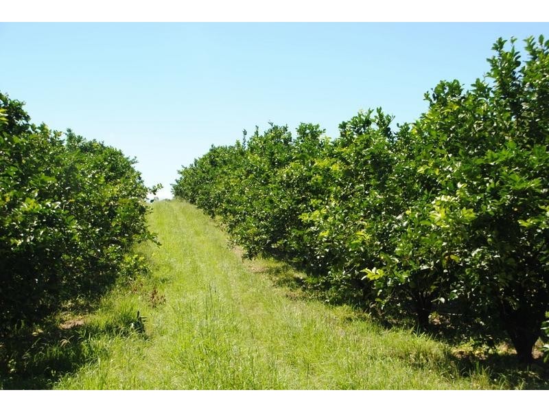 122 Shepherds Road, Gayndah QLD 4625