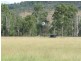 Biggenden QLD 4621