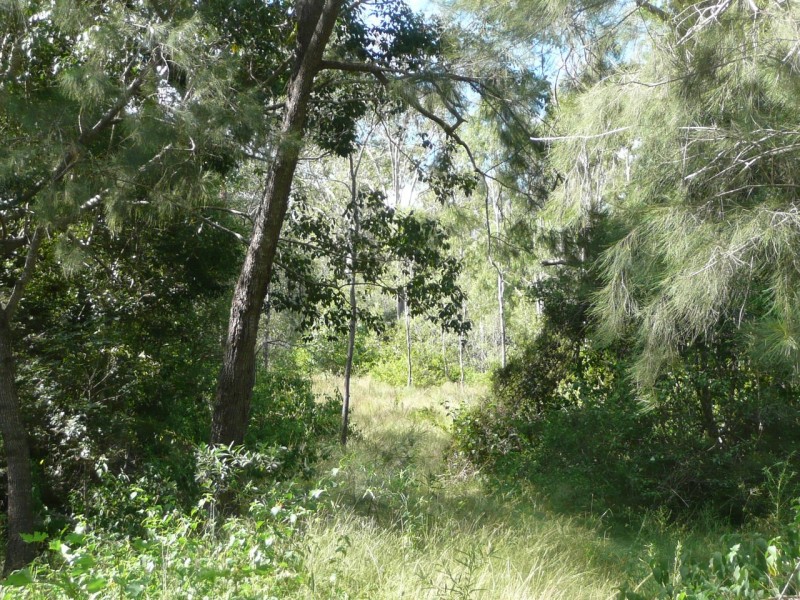 Lot 1,  Stanton Harcourt Road, Dallarnil QLD 4621