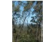 Good Night QLD 4671