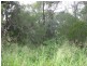 Apple Tree Creek QLD 4660