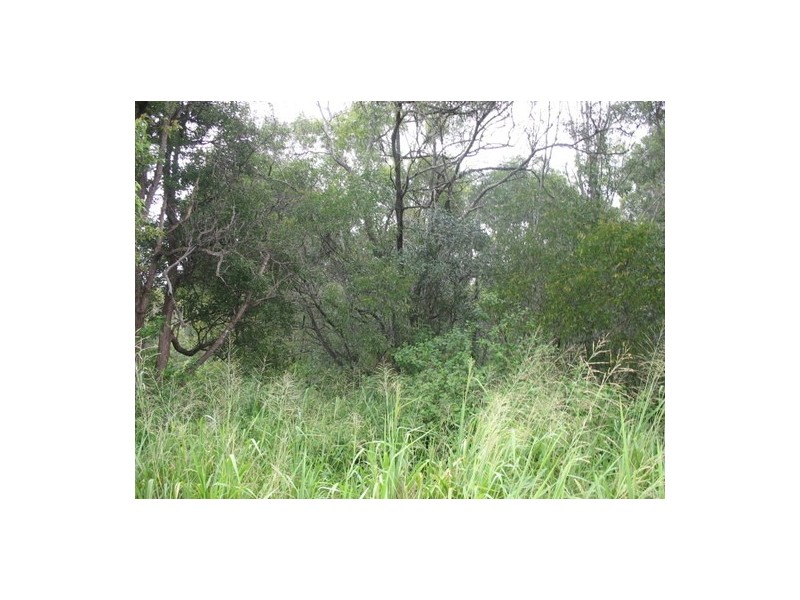 Apple Tree Creek QLD 4660