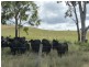 Lot 913,  Isis Highway, Dallarnil QLD 4621