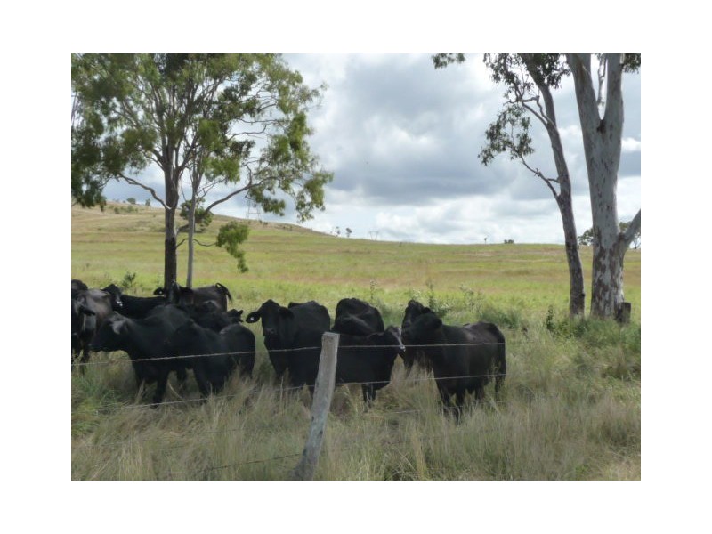 Lot 913,  Isis Highway, Dallarnil QLD 4621